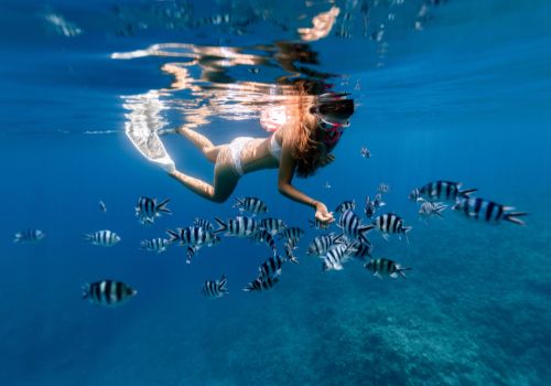Snorkeling di wisata Gili Trawangan Lombok